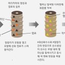 쿤헤어 이미지