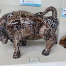 청도소싸움경기장 이미지