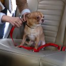 고덕24시 동물병원 이미지