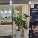 장유송영상의학과의원 | 김해 장유 율하힐링의원 | 통증 잡는 도수치료·SNEPI 스네피 치료 후기