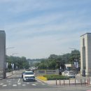 연못들5 | 초등 아이와 대전 가볼 만한 곳: 충남대 영탑지와 카이스트 본원 오리연못 동물 친구들 만나고 온 후기