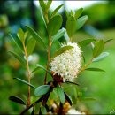 청풍호로 이미지