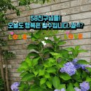 58산악회 오래~오래 이미지