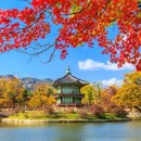 (주)트리플홀딩스 네이버블로그