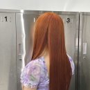 오렌지브릭