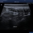 선부중앙동물의료센터 이미지