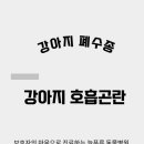 링크늘푸른동물병원 이미지