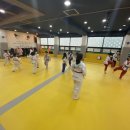 용인대골드태권도장 이미지