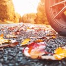 진영카센터 이미지