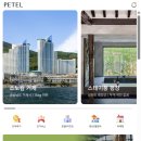 몽글몽글 펫 | 카시아 속초 애견 동반 숙소 수페리어 트윈 펫 프랜들리 페텔 예약