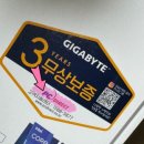 아인스 컴퍼니