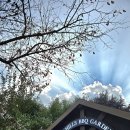 아나힐즈 이미지