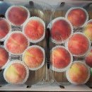 오늘 과일 이미지