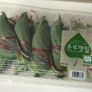 조엑스포트 이미지