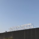 아이비하우스 | W3. [웨딩홀 투어/계약] 수성 호텔 아이비홀 현장 방문 및 계약서 수령 후기