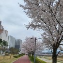 참(charm)행정사 사무소 이미지