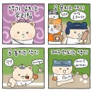 지금 지쳤나요? 네