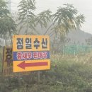 세븐일레븐 경기광주봉골점 | 명절 알차게 채운 말랑이네 식탁/ 미피 스토어 서울 방문 / 대하 철이 돌아왔다~ 정일수산 방문 후기