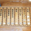 백년육일집 이미지