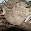 아바이왕순대 이미지