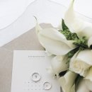 프라임호텔 | 퀸벨호텔 프라임홀 본식스냅 후기