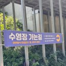 칠보물테마 유원지 | 전라도 전북 물놀이 고창 상하농원 파머스빌리지 수영장