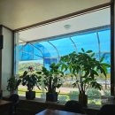 치즈밸리 참나무집 이미지