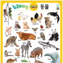 아람마트 이미지