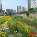 노원-상계-2007 이미지