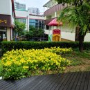 열린터어린이집 이미지