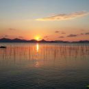 노력항민박 이미지