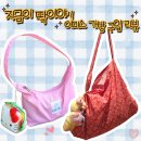 에코메이트 | 내돈내산ㅣ이미스 호보백 페이즐리 에코백 구입 솔직 후기