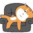 파파스 캠핑장 이미지