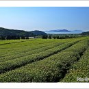한다원