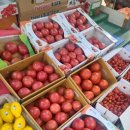 (주)노은