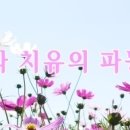 에시악, 골인환, 라미나인, 리버케어, 영브레인 프리미엄 후기 이미지