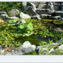 인성2농장 이미지