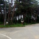 대추리길 이미지