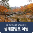 제36차 경남산청 지리산 대원사계곡 정기산행 : 2024.08.17(토) 이미지