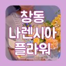 효성상아청과 | 창동꽃집 나렌시아플라워 엄마 생신 기념일, 향기 가득한 꽃선물 후기