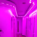 장미노래연습장 이미지