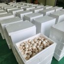 석성농장 이미지