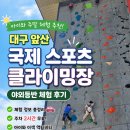 대구 아이와 가볼만한 곳, 남구 국제 스포츠 클라이밍장 야외등반 체험 후기