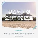 바다 1분 컷! 강원도오션뷰숙소 오션투유리조트 솔직 후기