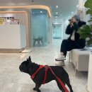 문산동물의료센터 이미지