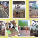 귀농농장 이미지