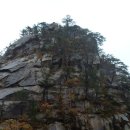 일박이일 B 이미지