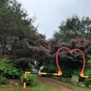 붕어섬테니스장 이미지