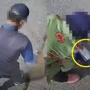 서울우유목포 이미지