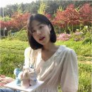 스타시그널